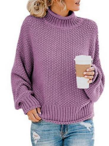 Oversized Turtleneck Batwing Sleeve Pullover Top